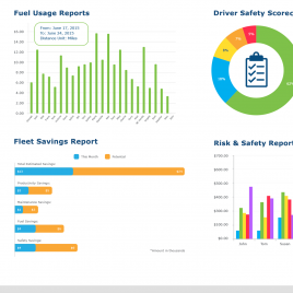 Geotab Reports